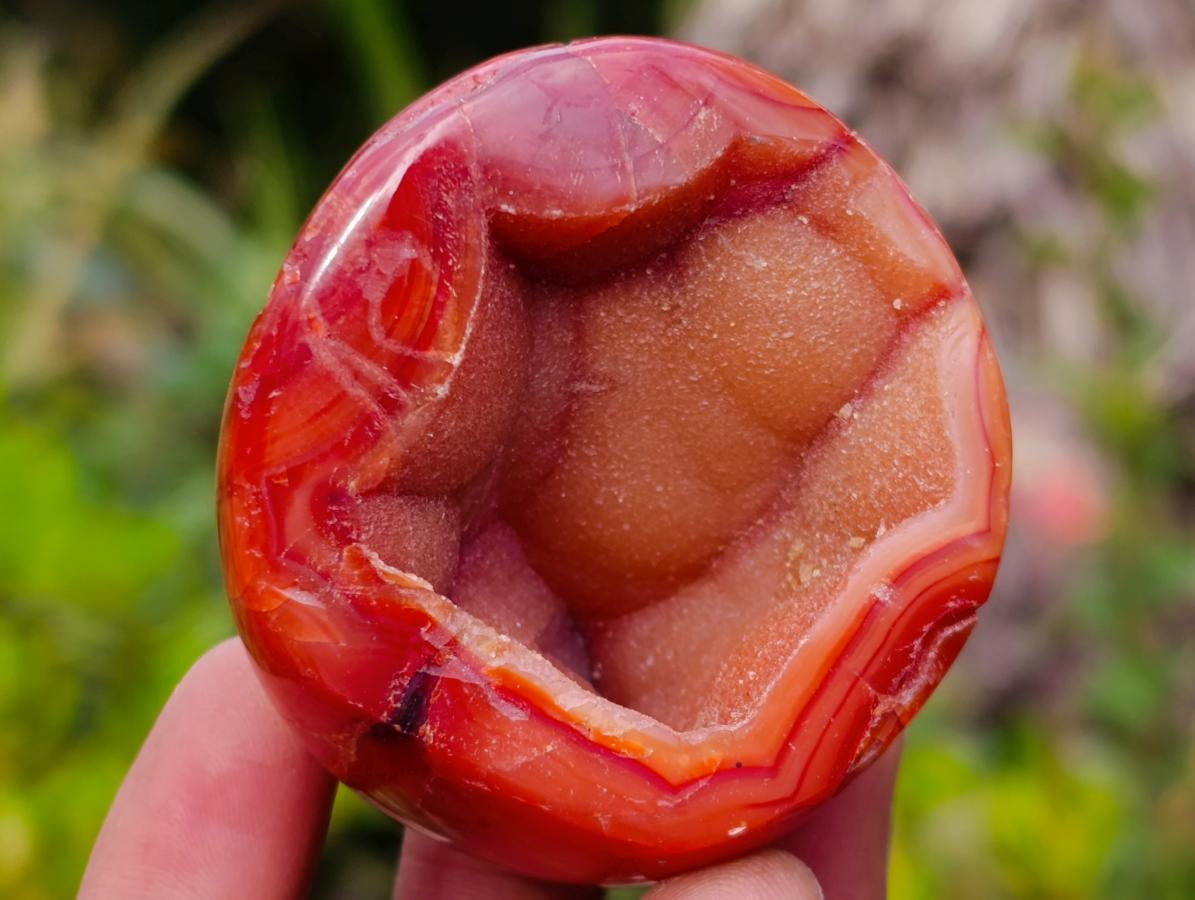 Polished Mixed Carnelian Agate Gemstone Pieces x 8 From Madagascar