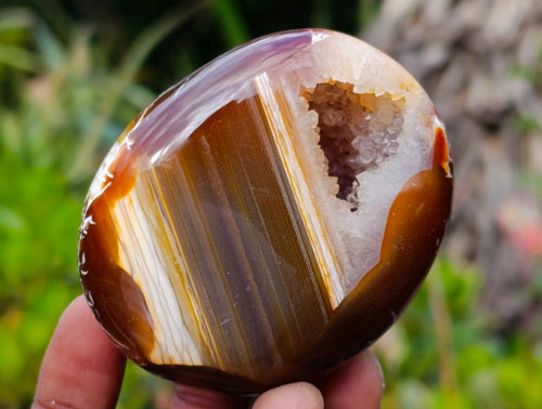 Polished Mixed Carnelian Agate Gemstone Pieces x 8 From Madagascar