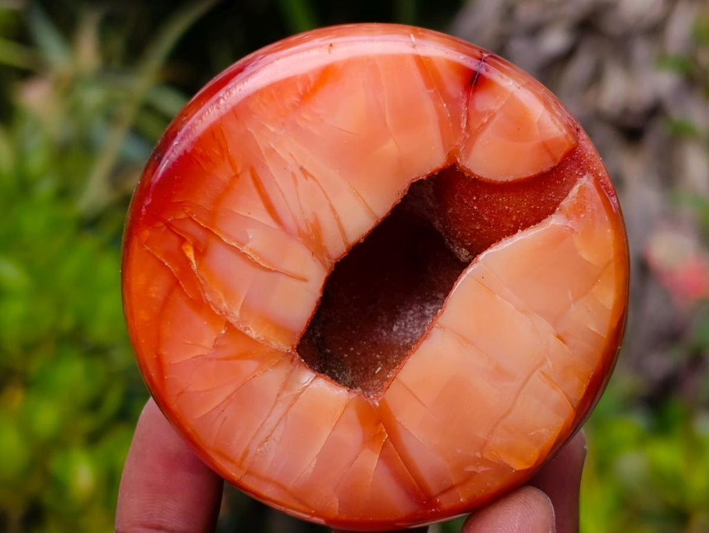 Polished Mixed Carnelian Agate Gemstone Pieces x 8 From Madagascar