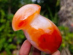 Polished Mixed Carnelian Agate Gemstone Pieces x 8 From Madagascar