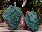 Natural Large Crystalline Malachite Specimens on Dolomite x 2 From Tenke Fungurume, Congo - Toprock Gemstones and Minerals 