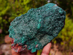 Natural Large Crystalline Malachite Specimens on Dolomite x 2 From Tenke Fungurume, Congo - Toprock Gemstones and Minerals 