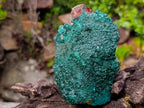 Natural Large Crystalline Malachite Specimens on Dolomite x 2 From Tenke Fungurume, Congo - Toprock Gemstones and Minerals 