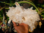 Natural Large Double Terminated Quartz Crystal Cluster x 1 From Ivato, Madagascar - Toprock Gemstones and Minerals 
