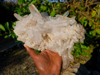 Natural Large Double Terminated Quartz Crystal Cluster x 1 From Ivato, Madagascar - Toprock Gemstones and Minerals 