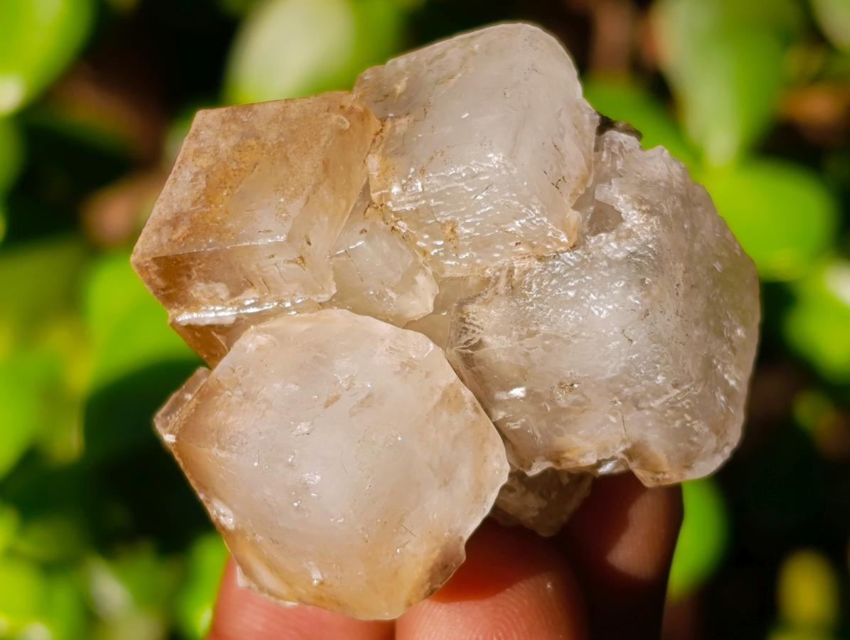 Natural Stacked Rhombohedral Calcite Specimens x 24 From Albert's Mountain, Lesotho - Toprock Gemstones and Minerals 