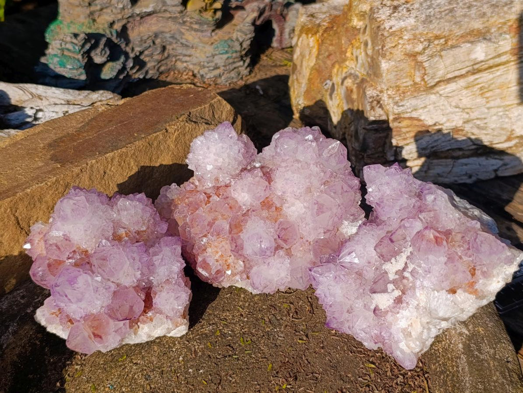 Natural Sunburst Spirit Amethyst Clusters x 3 From Boekenhouthoek, South Africa - Toprock Gemstones and Minerals 