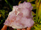 Natural Sunburst Spirit Amethyst Clusters x 3 From Boekenhouthoek, South Africa - Toprock Gemstones and Minerals 