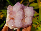Natural Sunburst Spirit Amethyst Clusters x 3 From Boekenhouthoek, South Africa - Toprock Gemstones and Minerals 