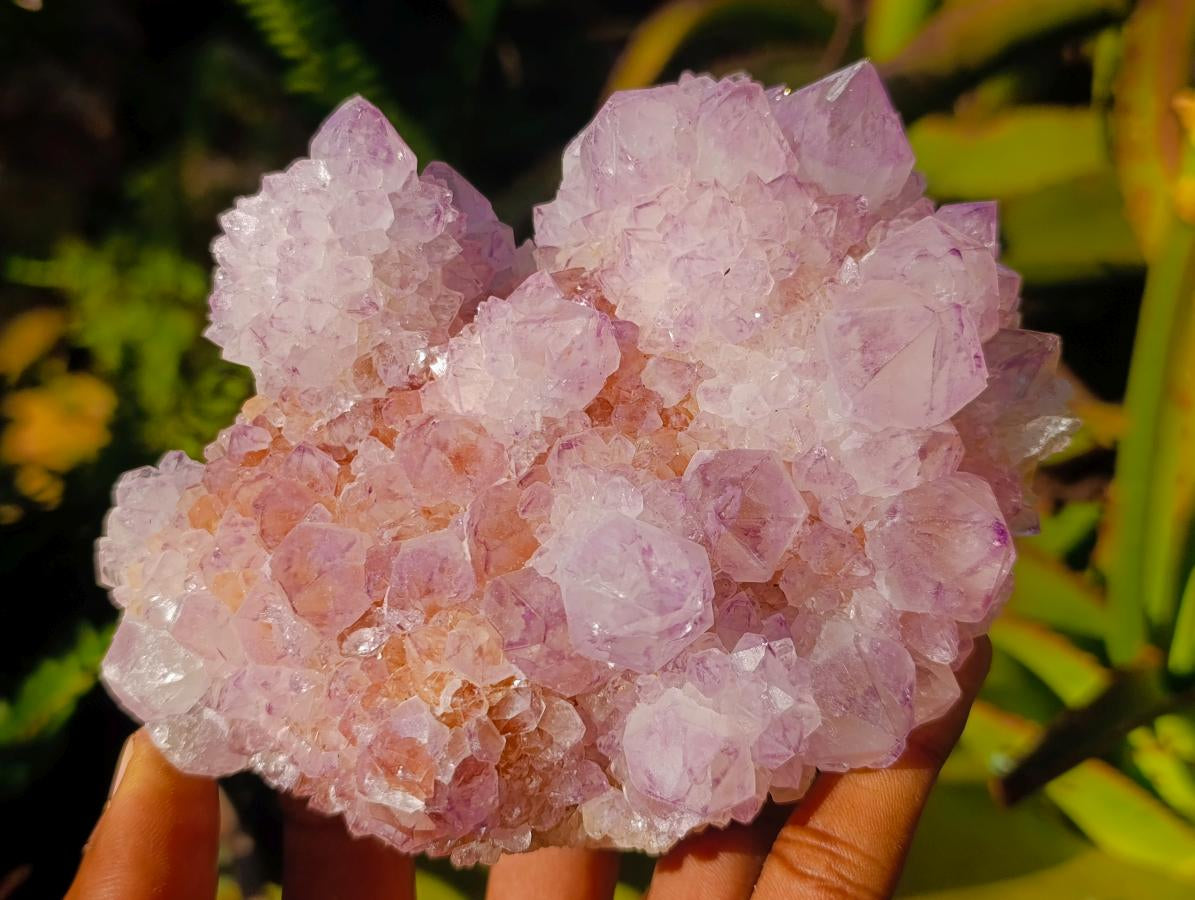Natural Sunburst Spirit Amethyst Clusters x 3 From Boekenhouthoek, South Africa - Toprock Gemstones and Minerals 