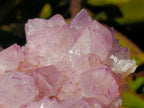 Natural Sunburst Spirit Amethyst Clusters x 3 From Boekenhouthoek, South Africa - Toprock Gemstones and Minerals 