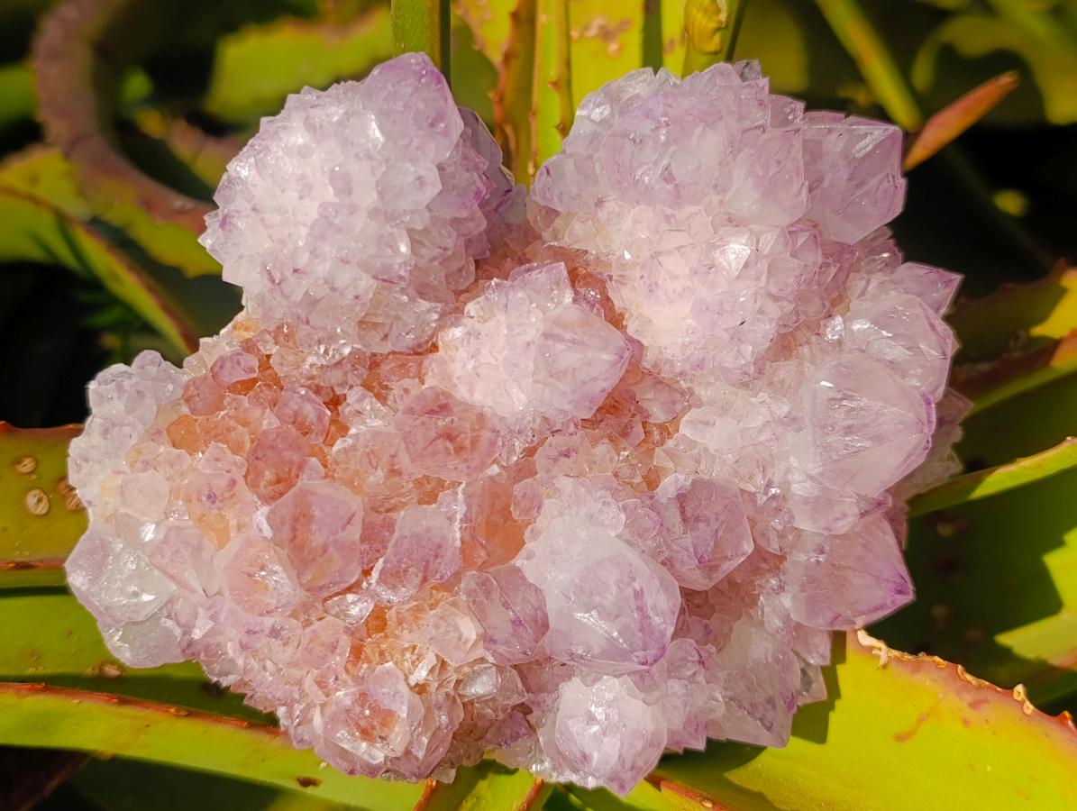 Natural Sunburst Spirit Amethyst Clusters x 3 From Boekenhouthoek, South Africa - Toprock Gemstones and Minerals 