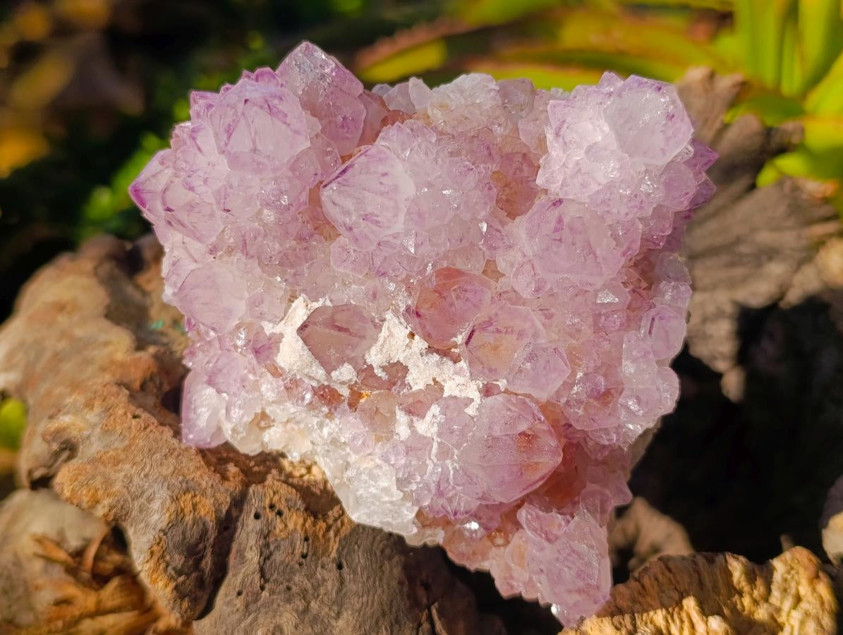Natural Sunburst Spirit Amethyst Clusters x 3 From Boekenhouthoek, South Africa - Toprock Gemstones and Minerals 
