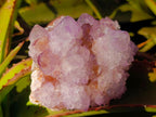 Natural Sunburst Spirit Amethyst Clusters x 3 From Boekenhouthoek, South Africa - Toprock Gemstones and Minerals 