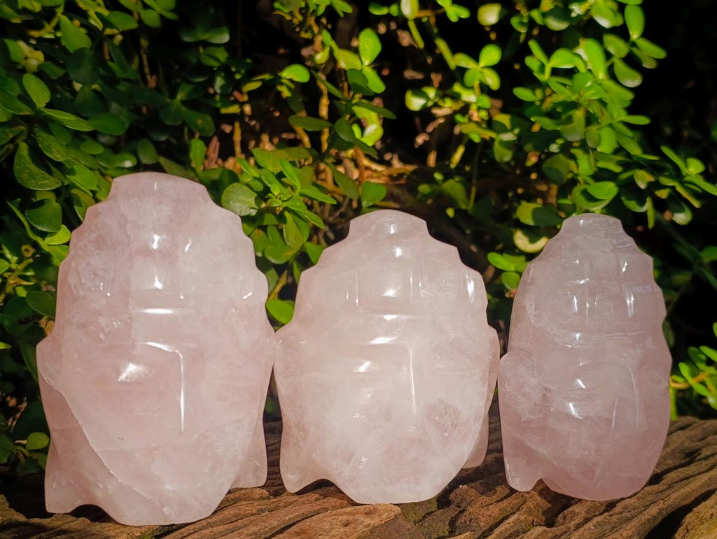 Polished Buddha Head Rose Quartz Carving x 3 From Madagascar - Toprock Gemstones and Minerals 