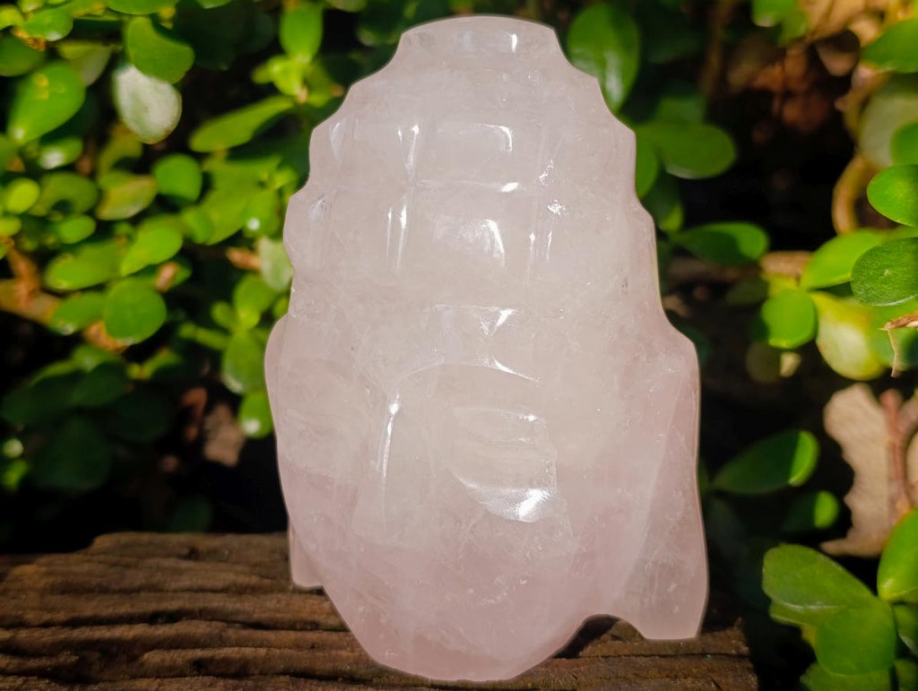 Polished Buddha Head Rose Quartz Carving x 3 From Madagascar - Toprock Gemstones and Minerals 