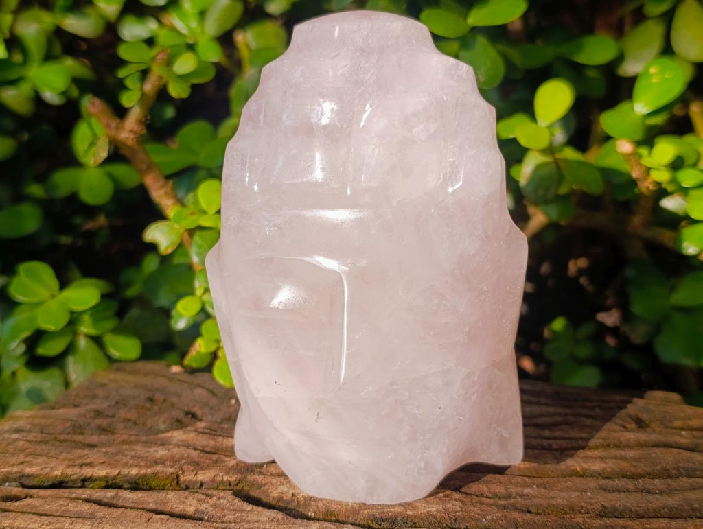 Polished Buddha Head Rose Quartz Carving x 3 From Madagascar - Toprock Gemstones and Minerals 