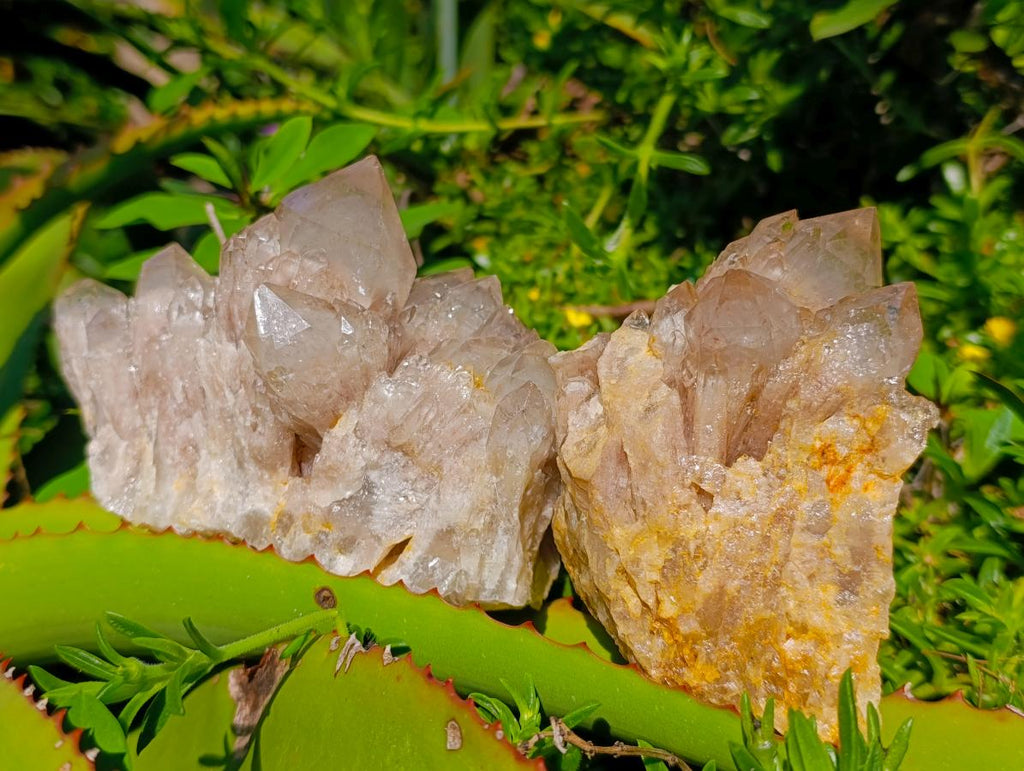 Natural Cascading White Phantom Smokey Luena Quartz Clusters x 2 From Luena, Congo - Toprock Gemstones and Minerals 