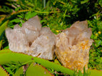 Natural Cascading White Phantom Smokey Luena Quartz Clusters x 2 From Luena, Congo - Toprock Gemstones and Minerals 