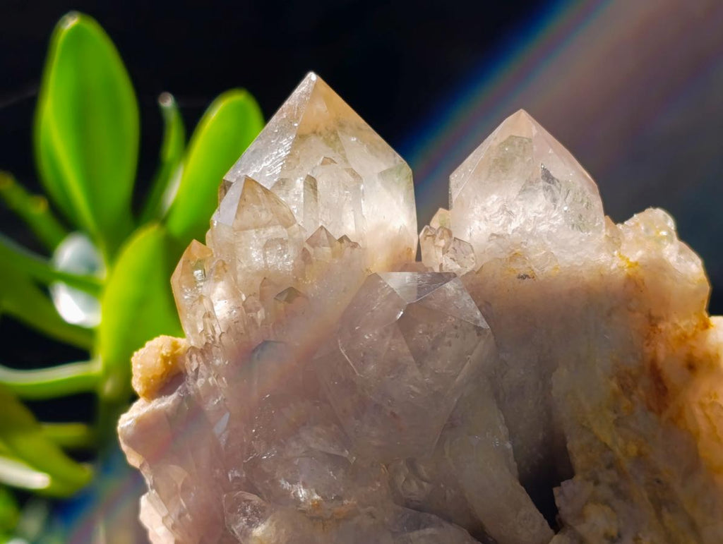 Natural Cascading White Phantom Smokey Luena Quartz Clusters x 2 From Luena, Congo - Toprock Gemstones and Minerals 