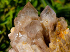 Natural Cascading White Phantom Smokey Luena Quartz Clusters x 2 From Luena, Congo - Toprock Gemstones and Minerals 