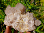 Natural Cascading White Phantom Smokey Luena Quartz Clusters x 2 From Luena, Congo - Toprock Gemstones and Minerals 