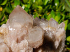 Natural Cascading White Phantom Smokey Luena Quartz Clusters x 2 From Luena, Congo - Toprock Gemstones and Minerals 