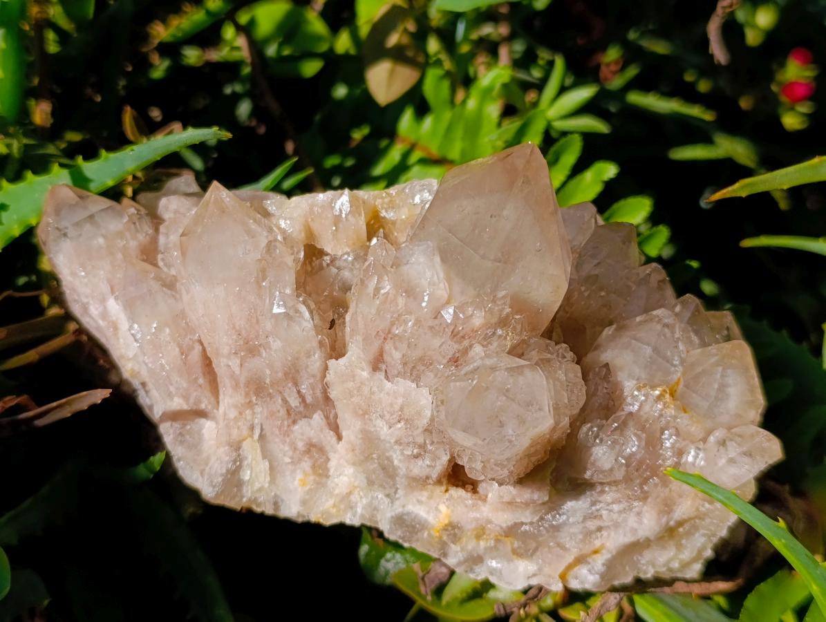 Natural Cascading White Phantom Smokey Luena Quartz Clusters x 2 From Luena, Congo - Toprock Gemstones and Minerals 