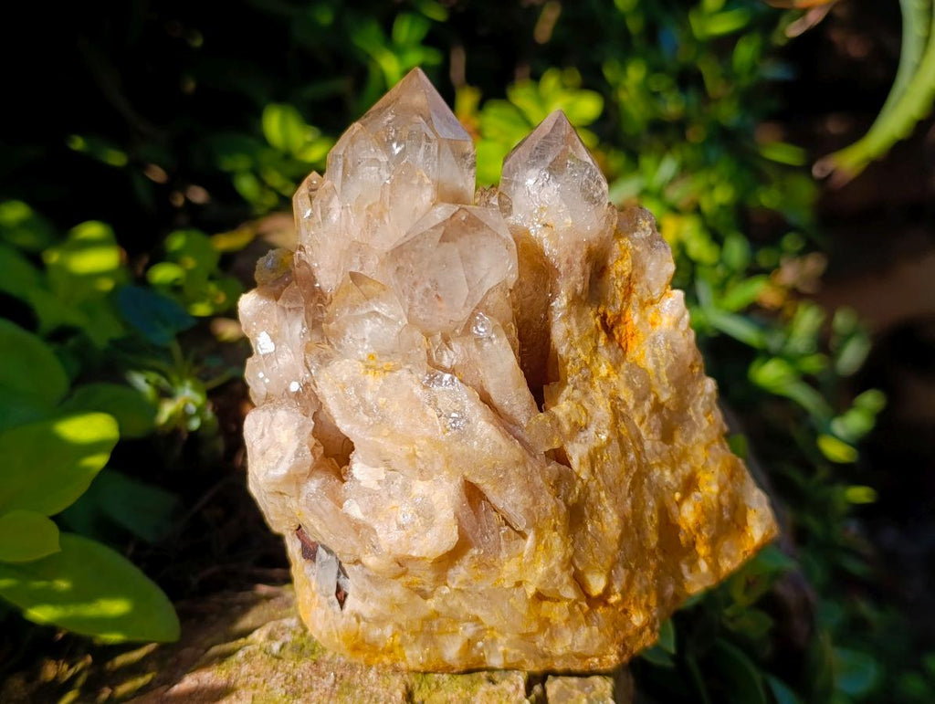 Natural Cascading White Phantom Smokey Luena Quartz Clusters x 2 From Luena, Congo - Toprock Gemstones and Minerals 