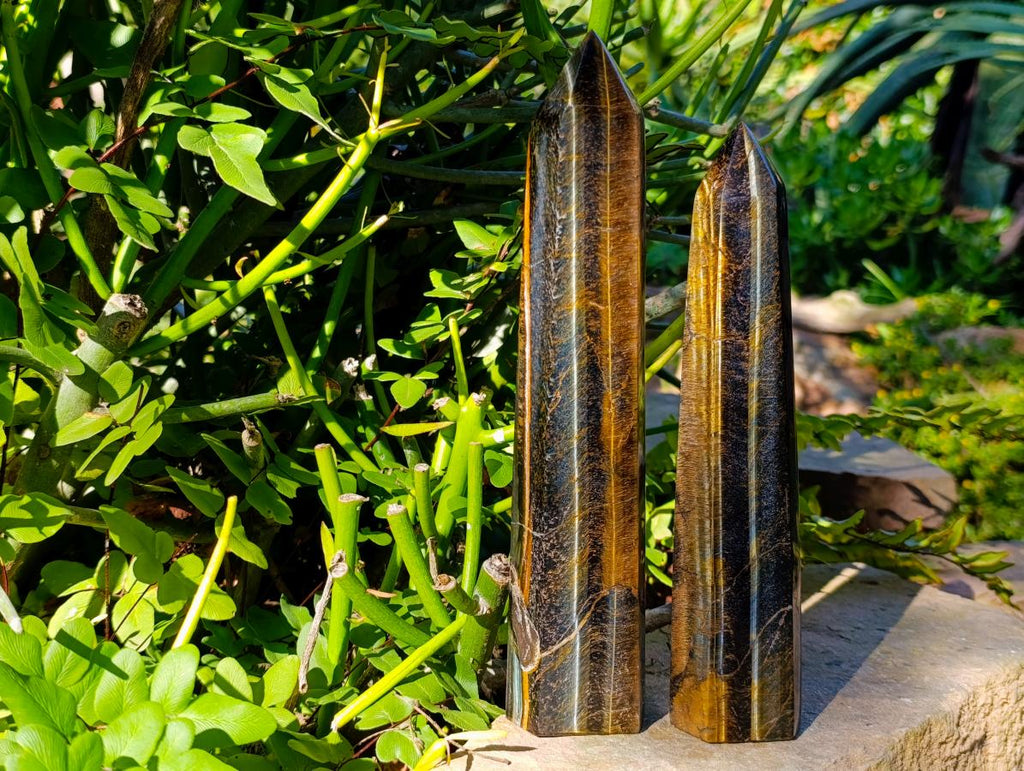Polished Large Double Terminated Golden Tigers Eye Crystals x 2 From Prieska, South Africa - Toprock Gemstones and Minerals 