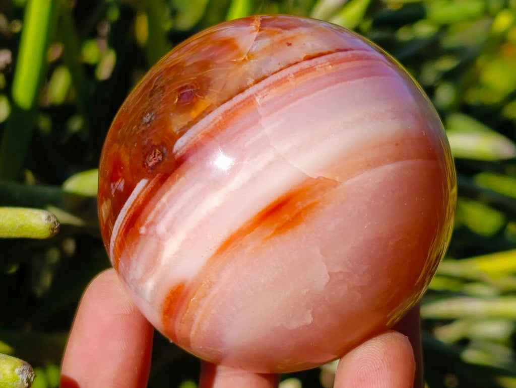 Polished Carnelian Agate Gemstone Spheres x 4 From Madagascar - Toprock Gemstones and Minerals 