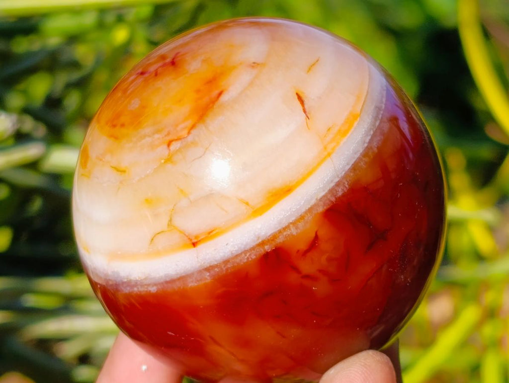 Polished Carnelian Agate Gemstone Spheres x 4 From Madagascar - Toprock Gemstones and Minerals 