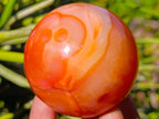 Polished Carnelian Agate Gemstone Spheres x 4 From Madagascar - Toprock Gemstones and Minerals 