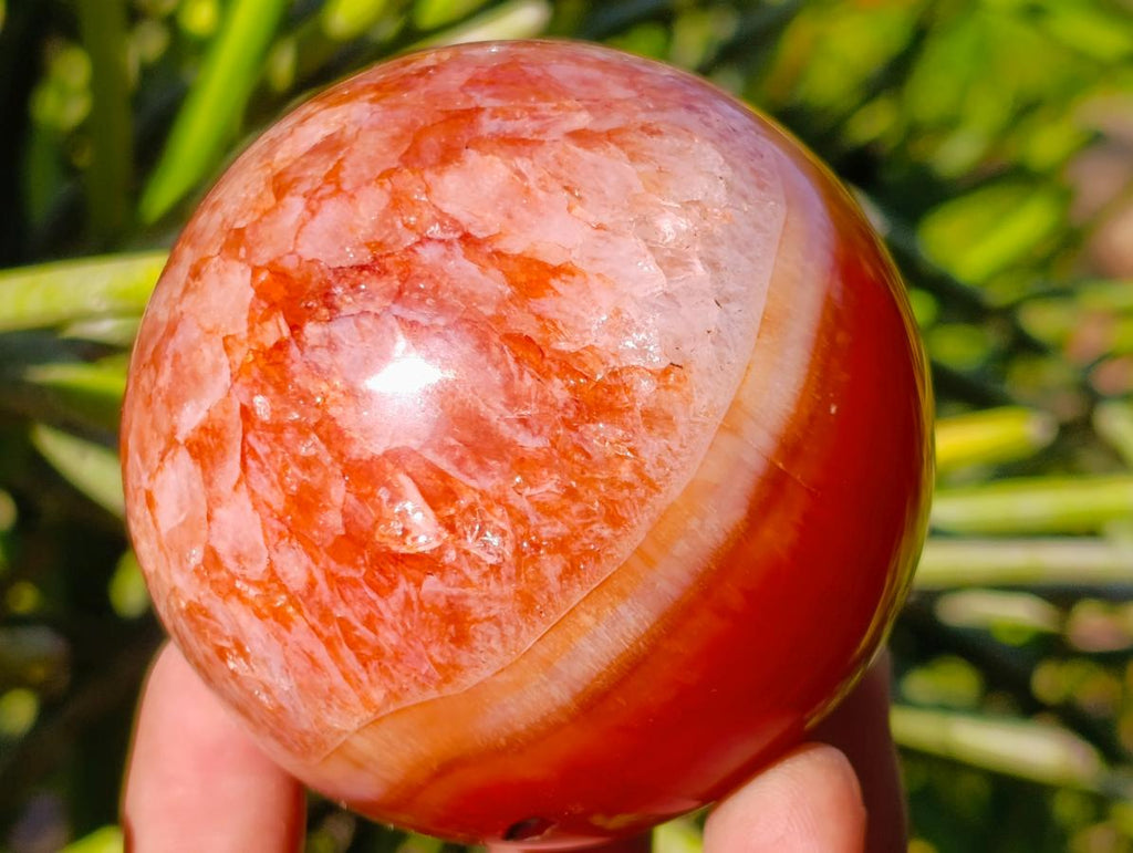 Polished Carnelian Agate Gemstone Spheres x 4 From Madagascar - Toprock Gemstones and Minerals 