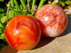 Polished Carnelian Agate Gemstone Spheres x 4 From Madagascar - Toprock Gemstones and Minerals 