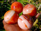 Polished Carnelian Agate Gemstone Spheres x 4 From Madagascar - Toprock Gemstones and Minerals 