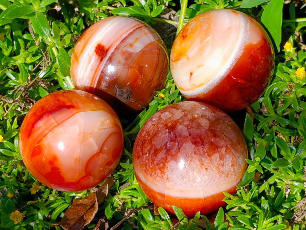 Polished Carnelian Agate Gemstone Spheres x 4 From Madagascar - Toprock Gemstones and Minerals 