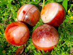 Polished Carnelian Agate Gemstone Spheres x 4 From Madagascar - Toprock Gemstones and Minerals 