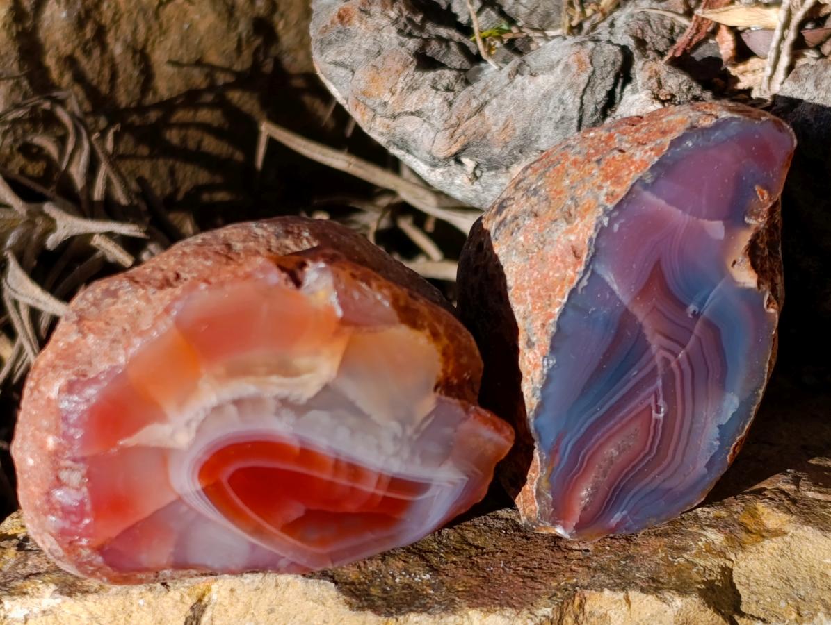 Polished One Side Red Shashe River Agate Nodules x 35 From Shashe River, Zimbabwe - Toprock Gemstones and Minerals 