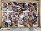 Polished One Side Red Shashe River Agate Nodules x 35 From Shashe River, Zimbabwe - Toprock Gemstones and Minerals 