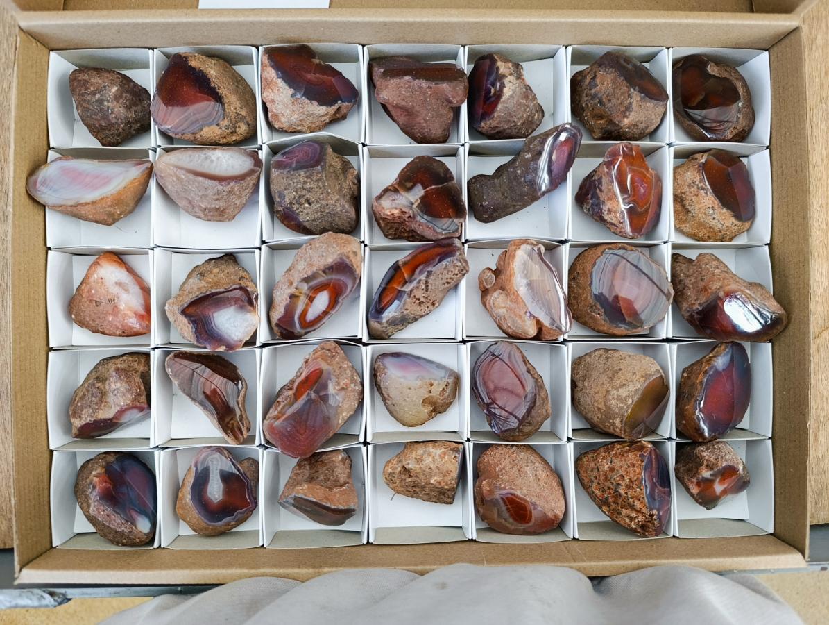 Polished One Side Red Shashe River Agate Nodules x 35 From Shashe River, Zimbabwe - Toprock Gemstones and Minerals 