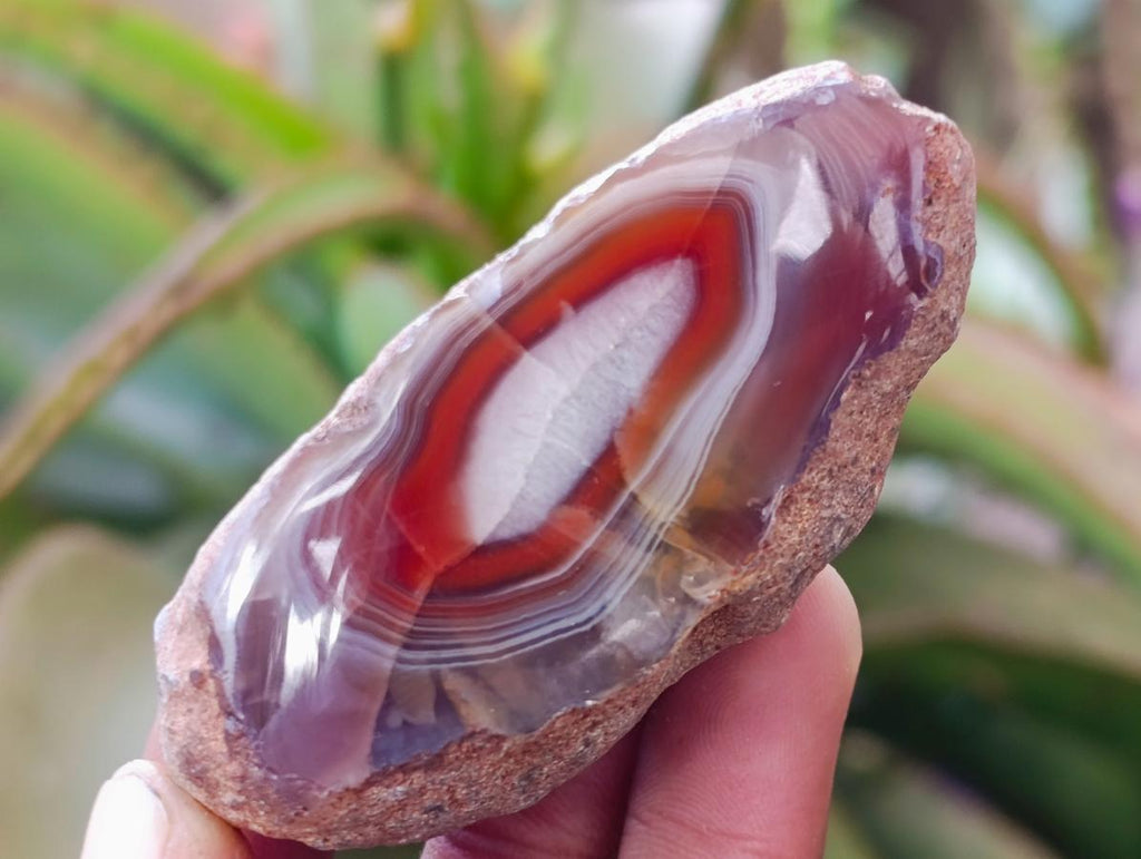 Polished One Side Red Shashe River Agate Nodules x 35 From Shashe River, Zimbabwe - Toprock Gemstones and Minerals 