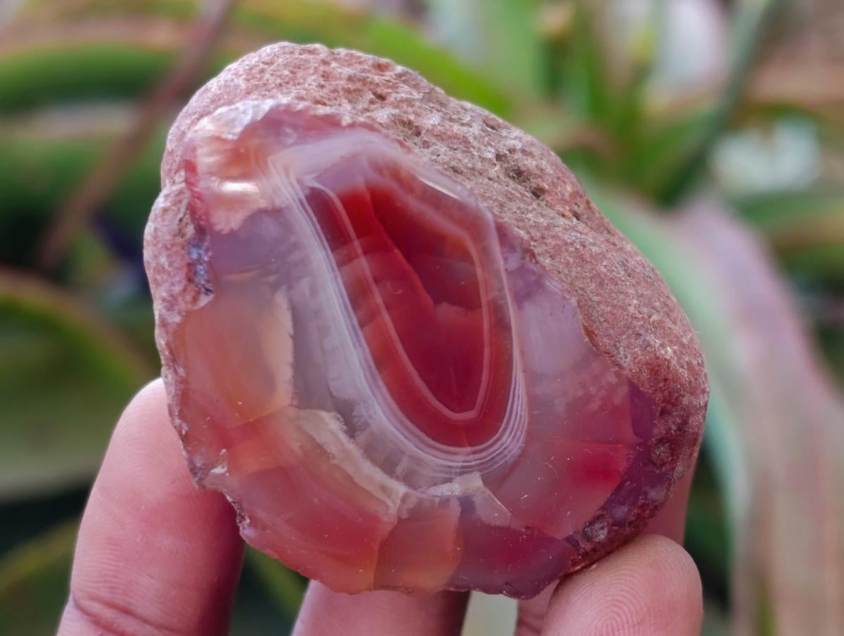 Polished One Side Red Shashe River Agate Nodules x 35 From Shashe River, Zimbabwe - Toprock Gemstones and Minerals 