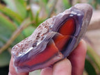 Polished One Side Red Shashe River Agate Nodules x 35 From Shashe River, Zimbabwe - Toprock Gemstones and Minerals 