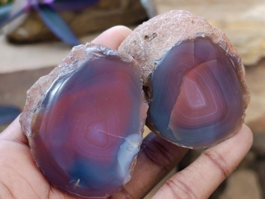 Polished One Side Red Shashe River Agate Nodules x 35 From Shashe River, Zimbabwe - Toprock Gemstones and Minerals 