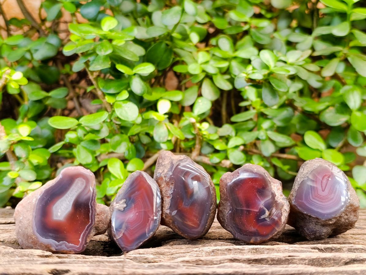 Polished One Side Red Shashe River Agate Nodules x 35 From Shashe River, Zimbabwe - Toprock Gemstones and Minerals 
