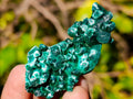 Natural Mini Silky Malachite Specimens x 35 From Kasompe, Congo - Toprock Gemstones and Minerals 