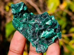Natural Mini Silky Malachite Specimens x 35 From Kasompe, Congo - Toprock Gemstones and Minerals 