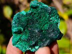Natural Mini Silky Malachite Specimens x 35 From Kasompe, Congo - Toprock Gemstones and Minerals 