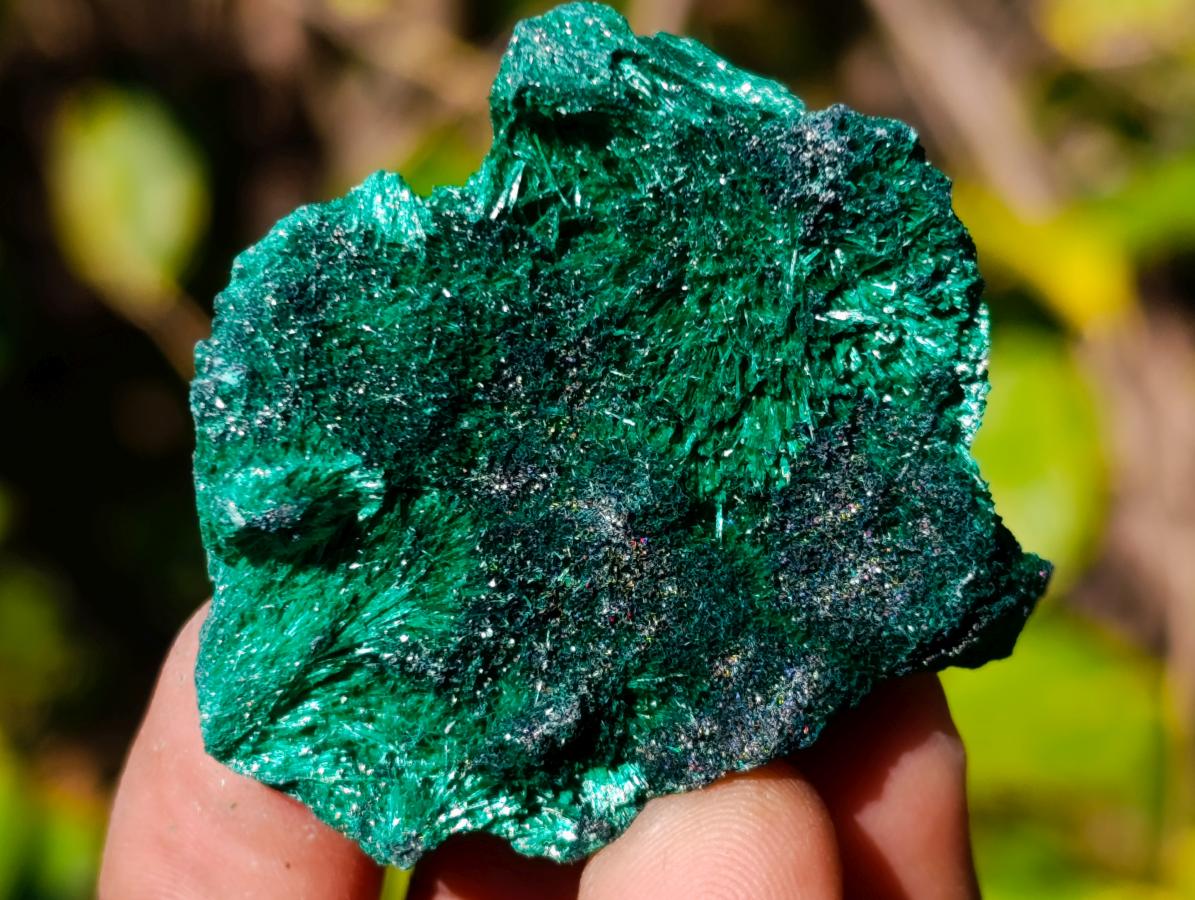 Natural Mini Silky Malachite Specimens x 35 From Kasompe, Congo - Toprock Gemstones and Minerals 